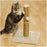 Rosewood Turin Cat Post