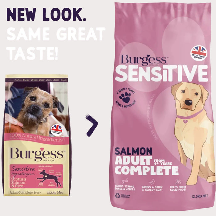 Burgess Sensitive Adult Salmon Dry Dog Food