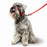 Beaphar Gentle Leader Head Collar for Dogs