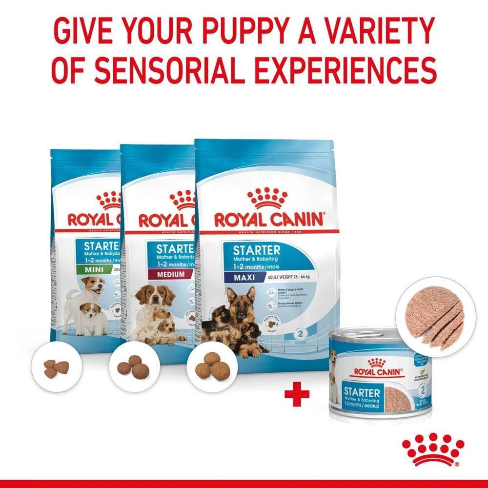 Royal Canin Mother & Babydog Starter Ultra Soft Mousse Wet Dog Food 195g