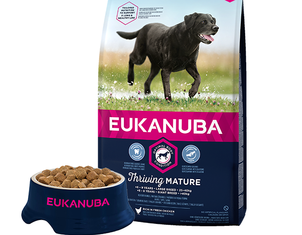 Eukanuba Thriving Mature Large Breed Dry Dog Food Chicken 12kg