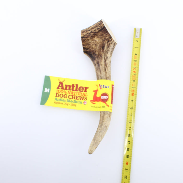 Antos Antler Natural Dog Chew Medium 76 - 150g - 2