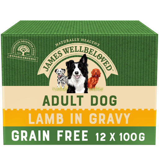 James Wellbeloved Grain Free Lamb Adult Wet Dog Food 12 x 100g