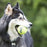 KONG Air Squeaker Tennis Balls