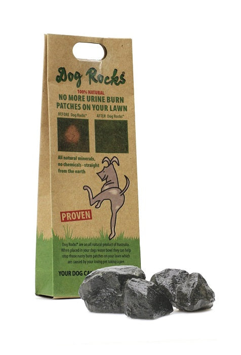 Dog Rocks Lawn Burn Prevention