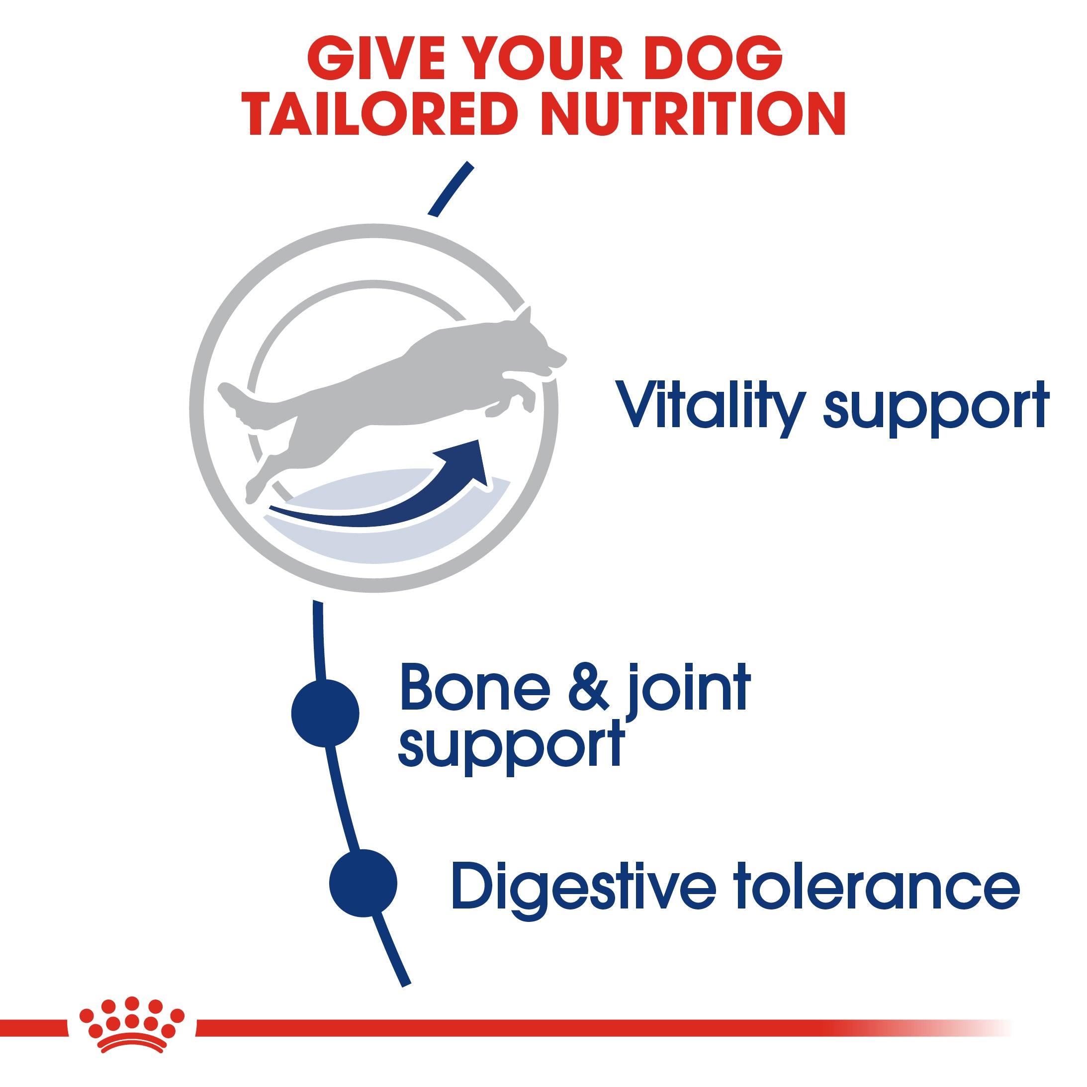 ROYAL CANIN® Maxi Adult 5+ Dry Dog Food - 15kg