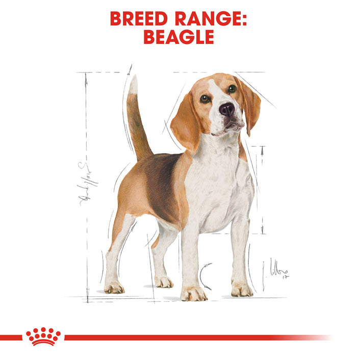 Royal Canin Adult Beagle Dry Dog Food
