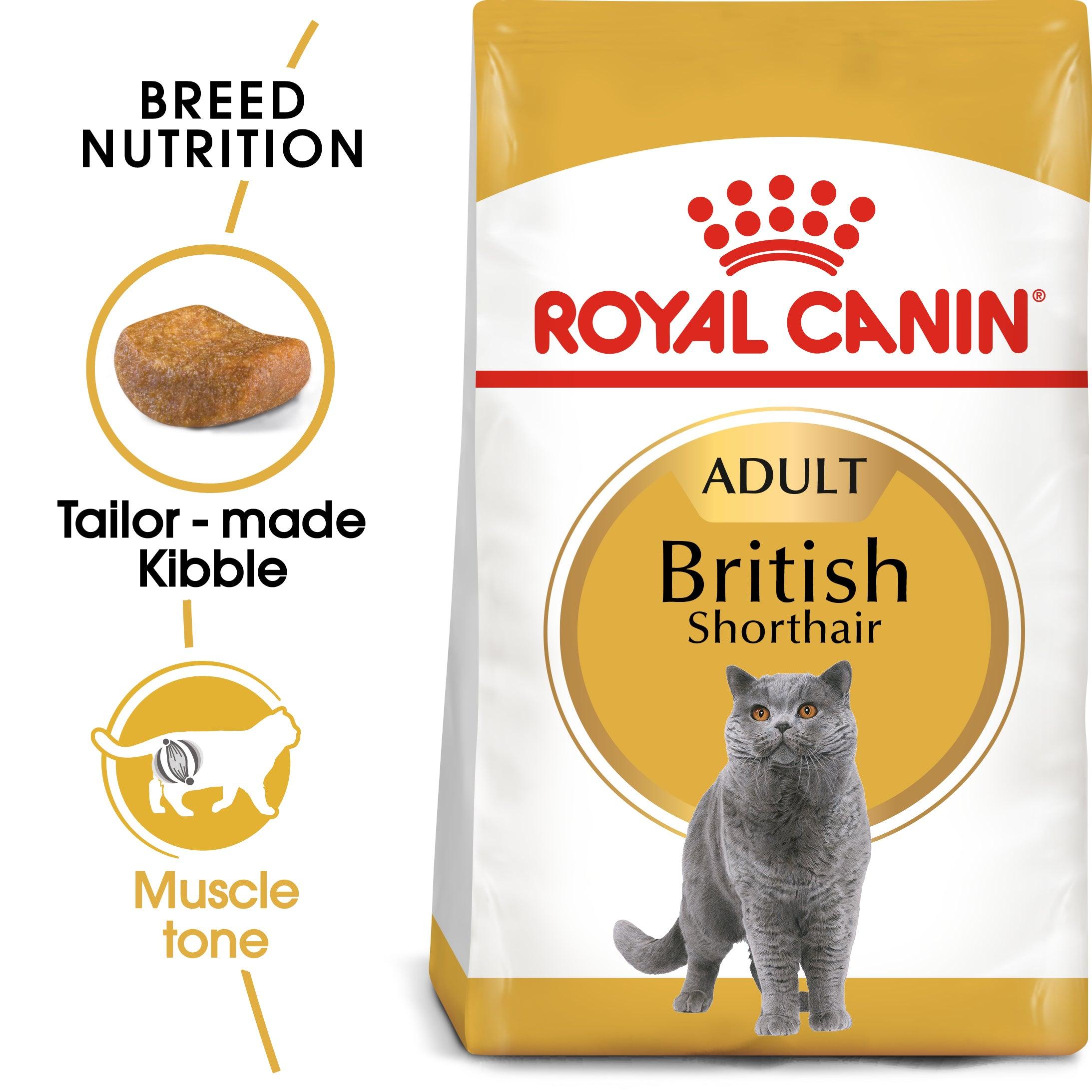Royal Canin Adult British Shorthair Dry Cat Food