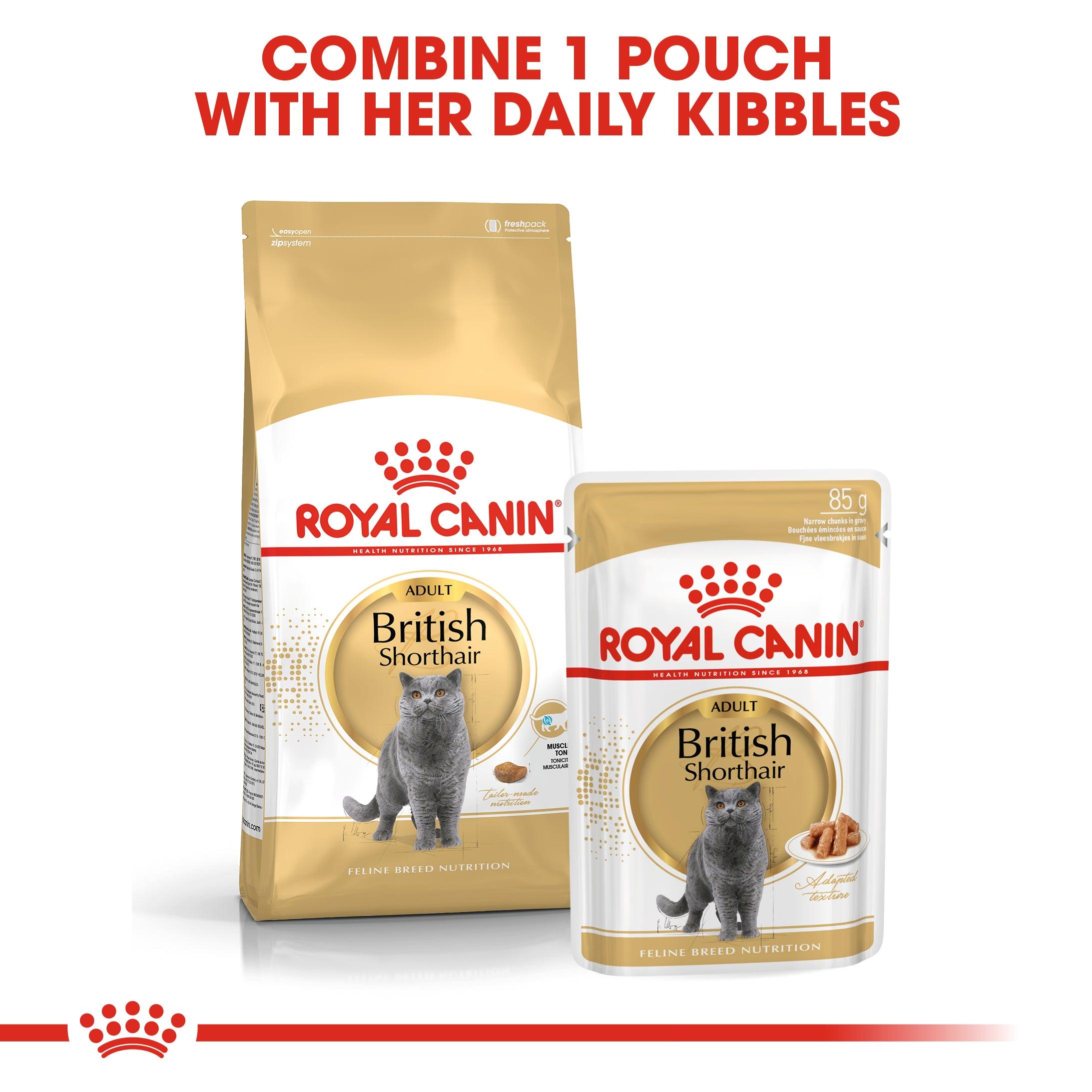 Royal Canin Adult British Shorthair Dry Cat Food