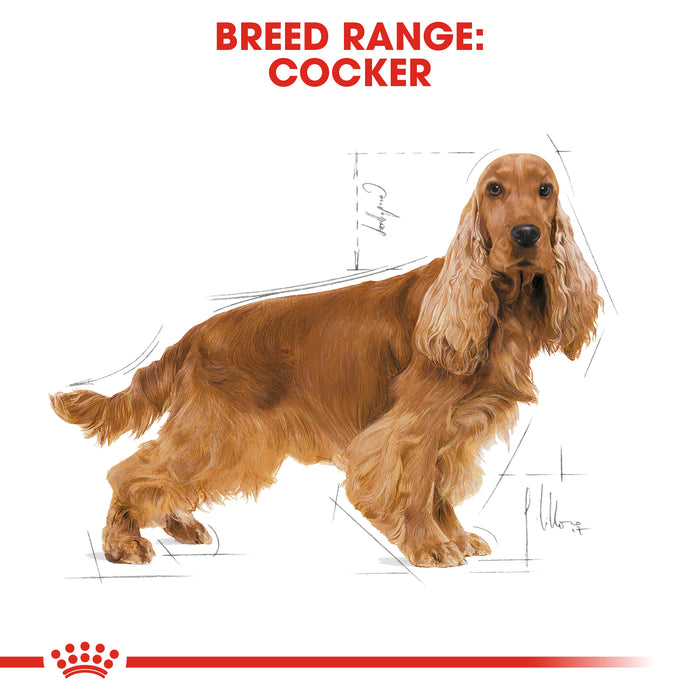 Royal Canin Adult Cocker Dry Dog Food