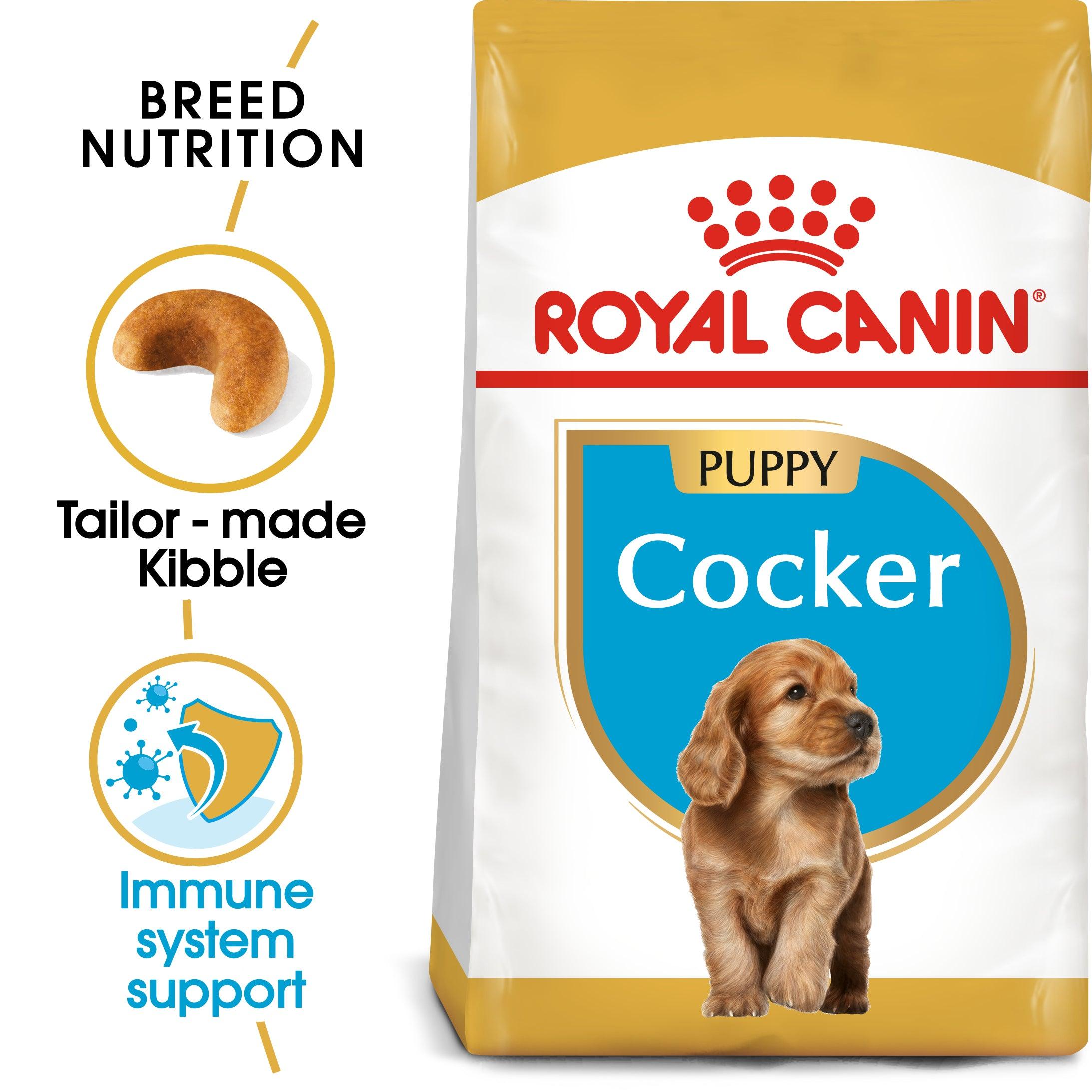 Royal Canin Puppy Cocker Spaniel Dry Dog Food 3kg