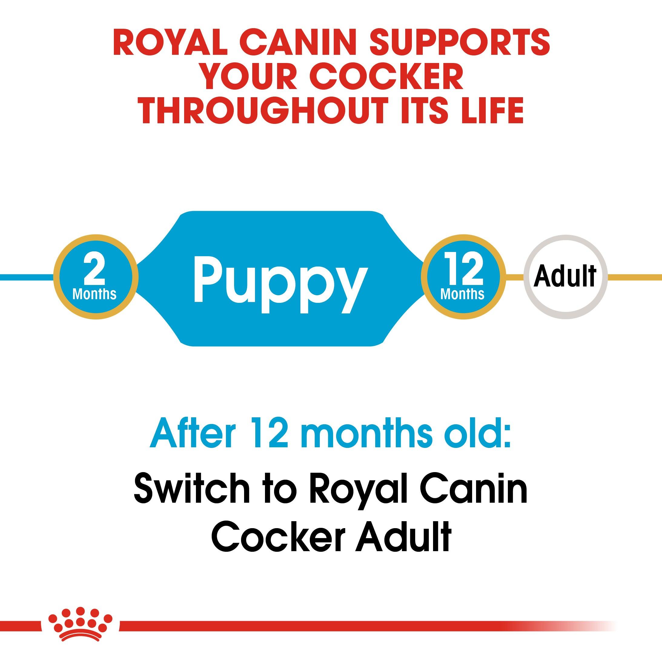 Royal Canin Puppy Cocker Spaniel Dry Dog Food 3kg