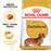 Royal Canin Adult Dachshund Wet Dog Food Pouches
