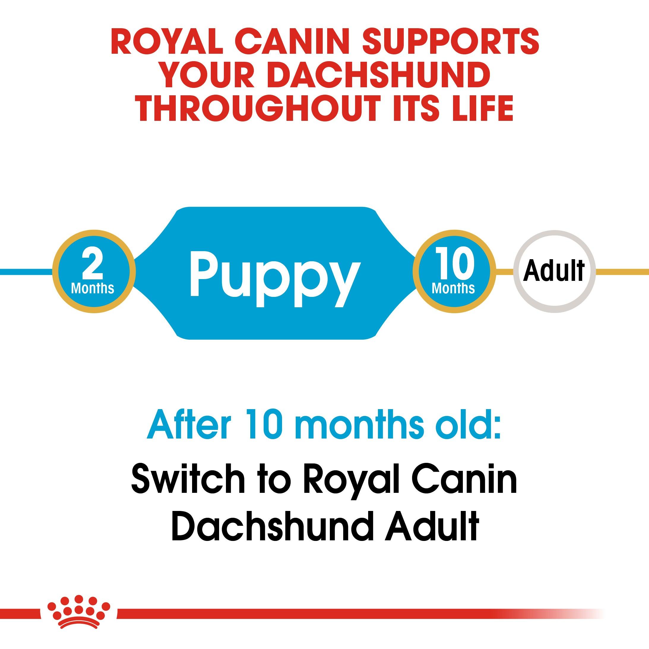 Royal Canin Puppy Dachshund Dry Dog Food 1.5kg