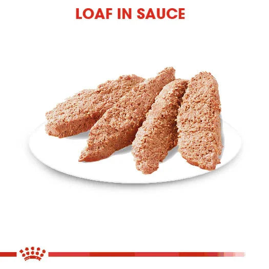 Royal Canin Adult Digestive Care Wet Dog Food