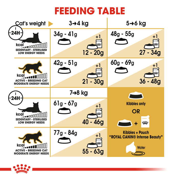Royal Canin Adult Bengal Dry Cat Food