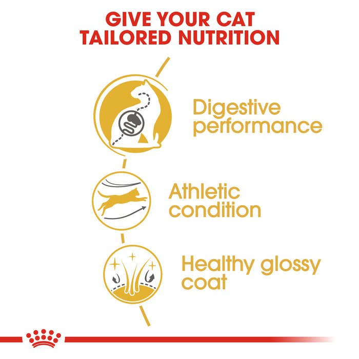Royal Canin Adult Bengal Dry Cat Food