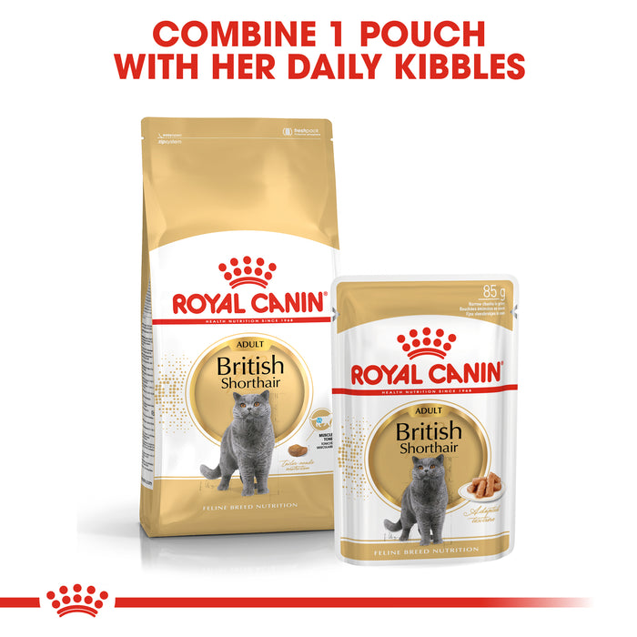 Royal Canin Feline Adult British Shorthair Wet Cat Food Pouches in Gravy - 12 x 85g