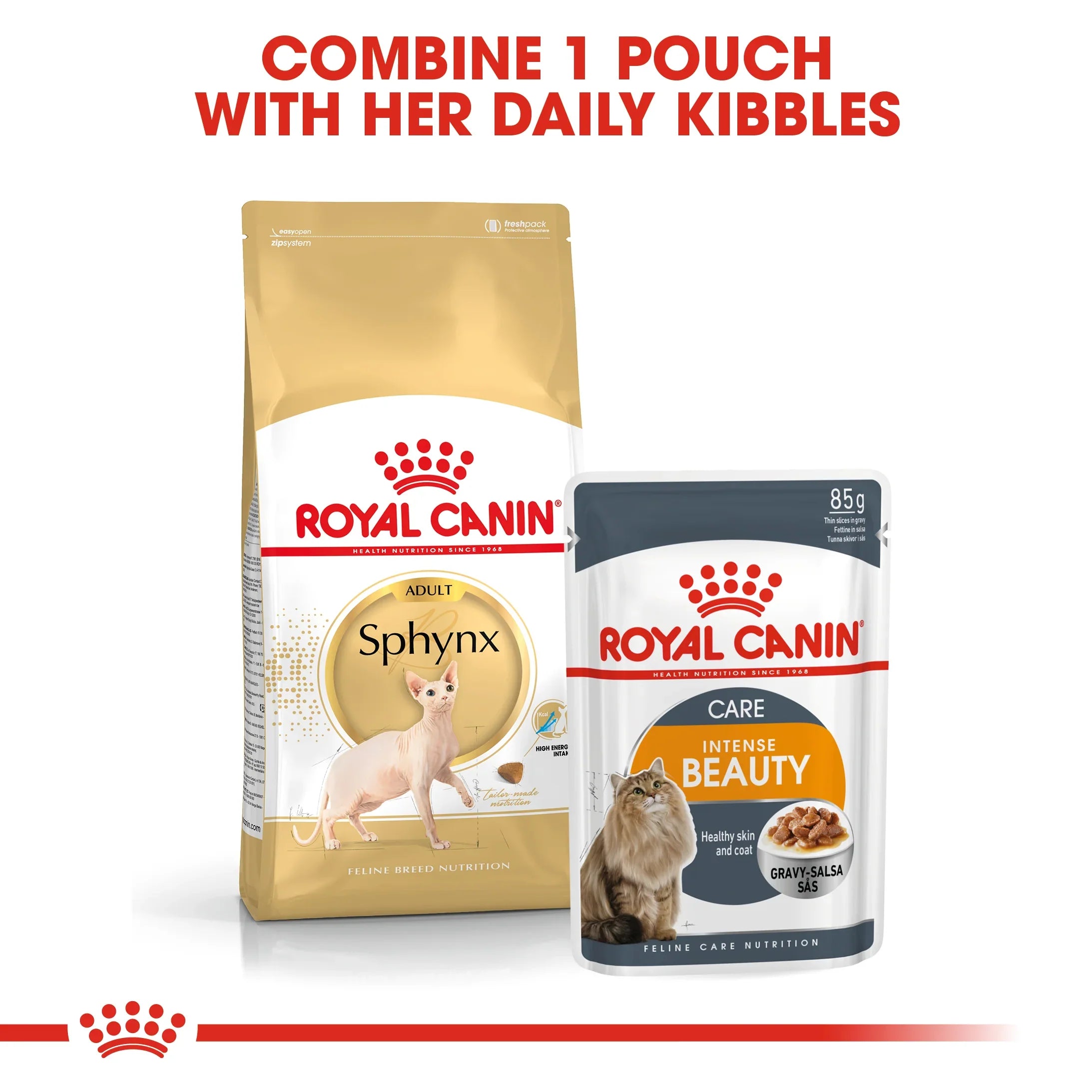 Royal Canin Adult Sphynx Dry Cat Food 10kg
