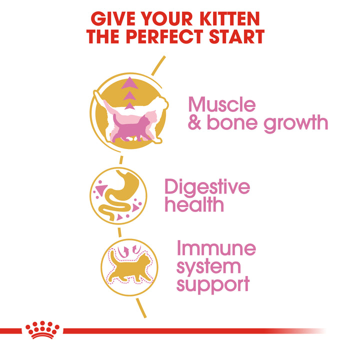Royal Canin Kitten British Shorthair Dry Cat Food