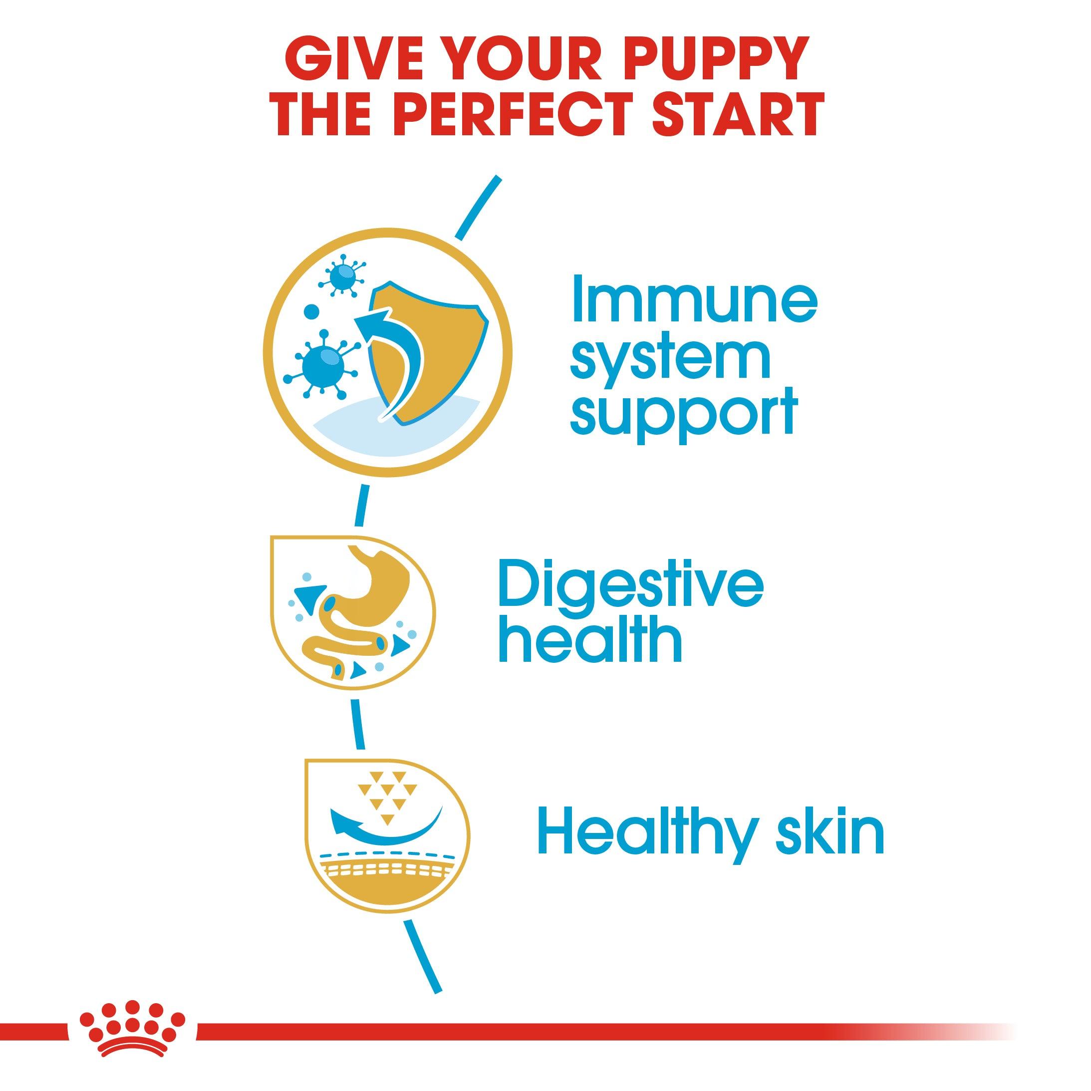 Royal Canin Puppy French Bulldog Dry Dog Food