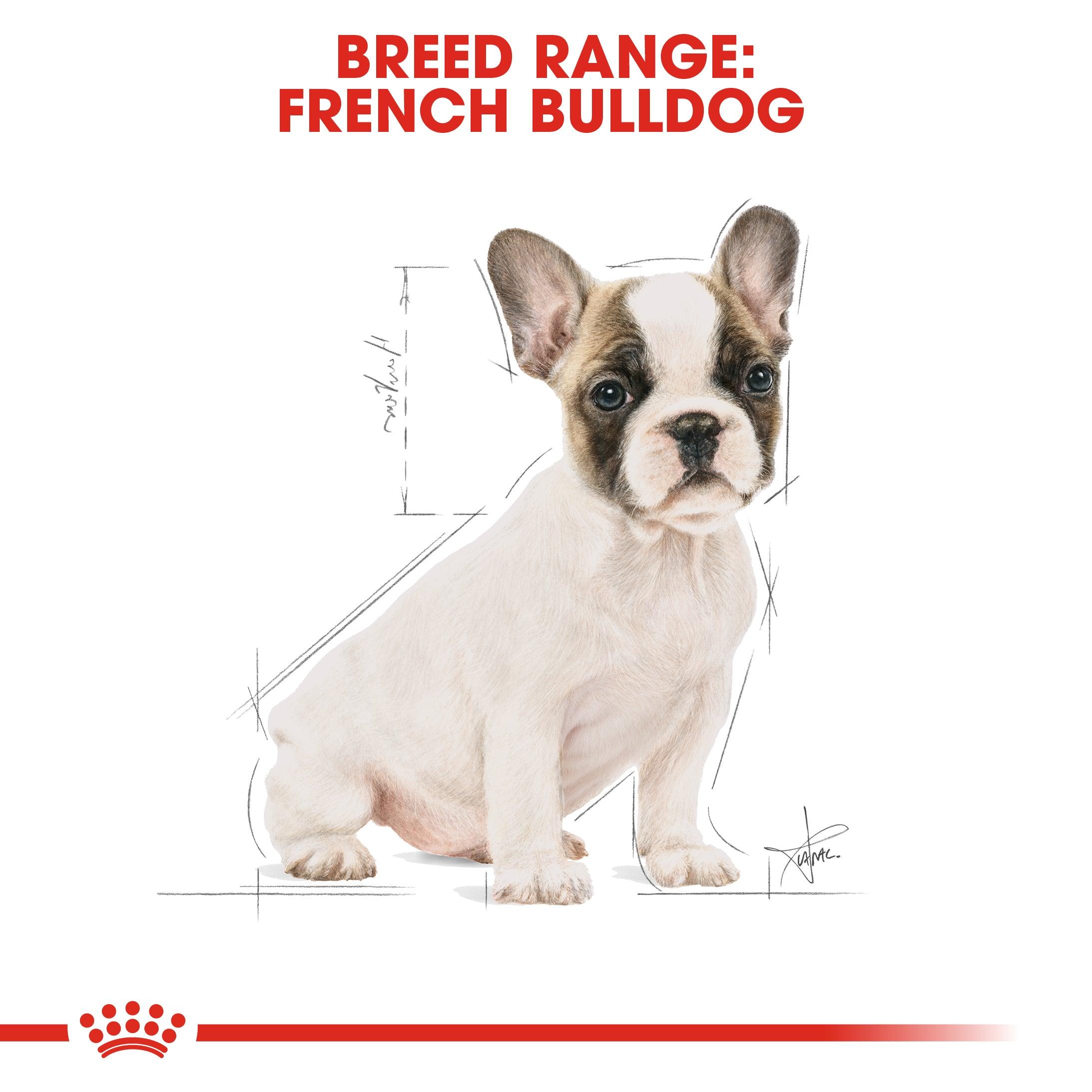 Royal Canin Puppy French Bulldog Dry Dog Food