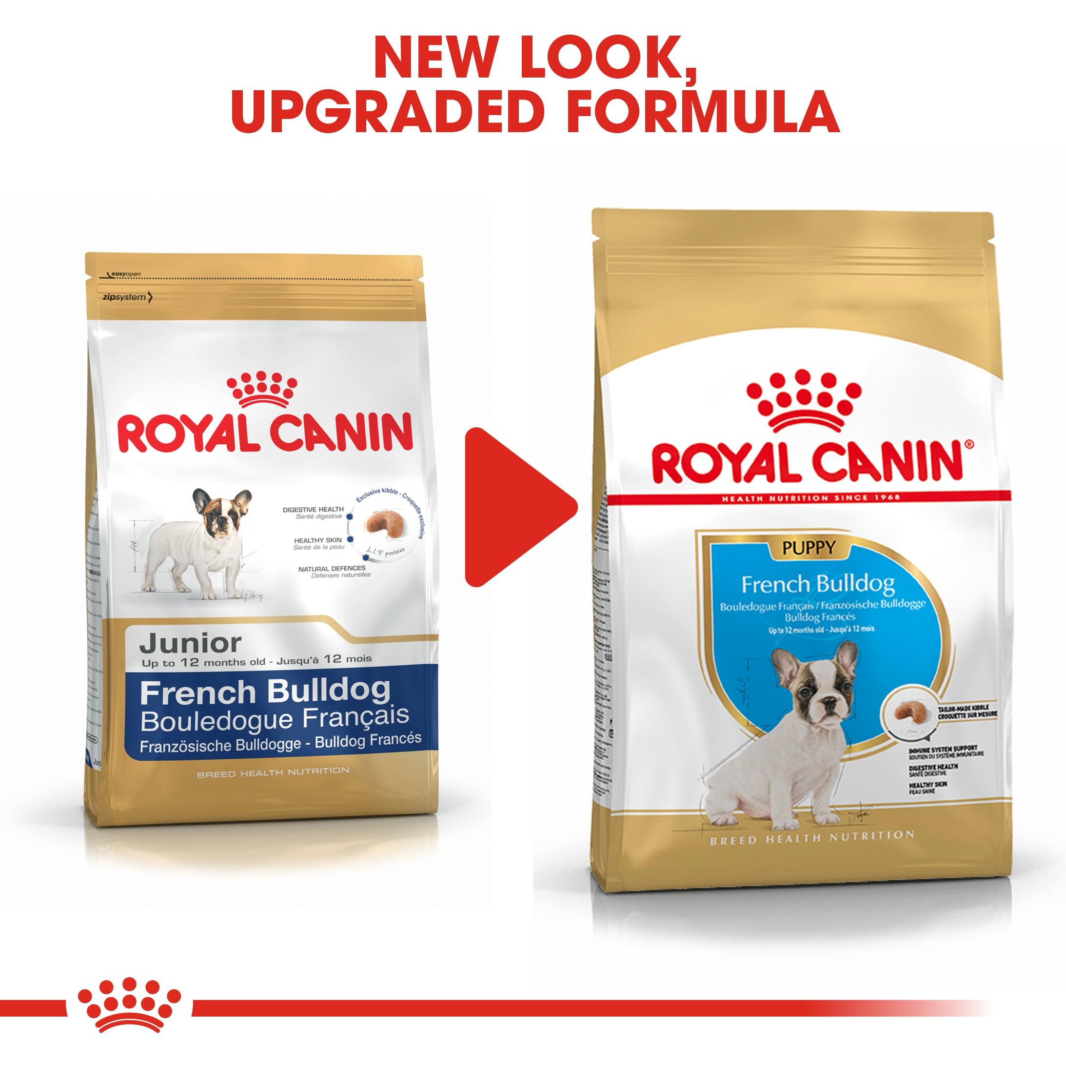 Royal Canin Puppy French Bulldog Dry Dog Food