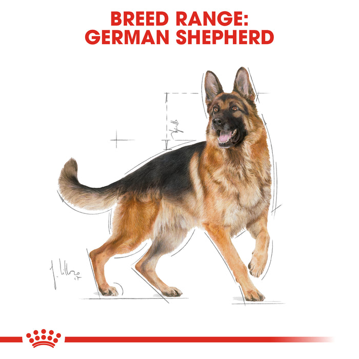 Royal Canin Adult German Shepherd Dry Dog Food 11kg