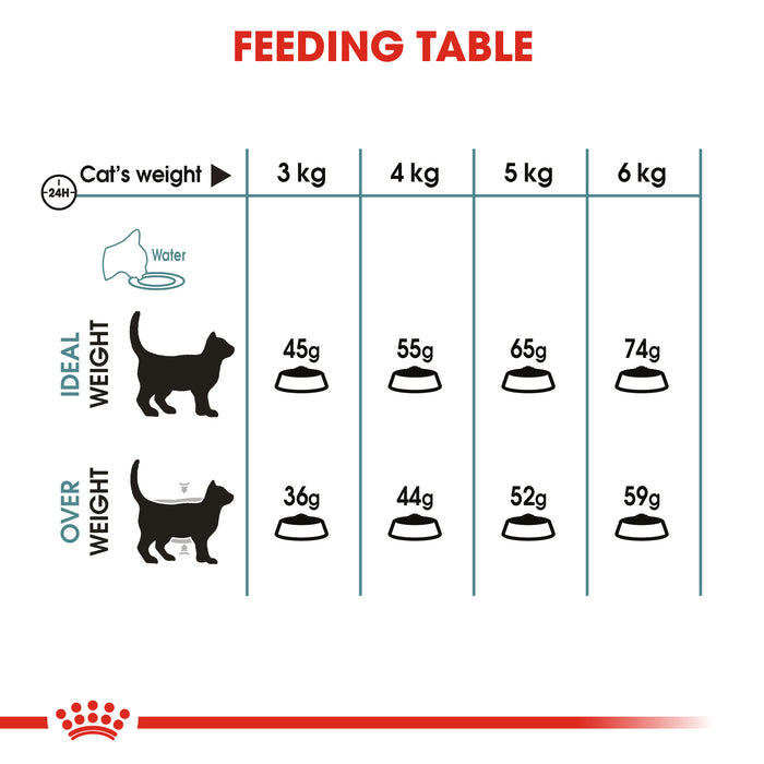 Royal Canin Adult Hairball Care Dry Cat Food