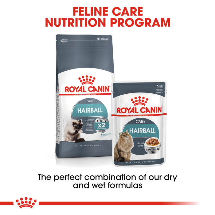 Royal Canin Adult Hairball Care Dry Cat Food