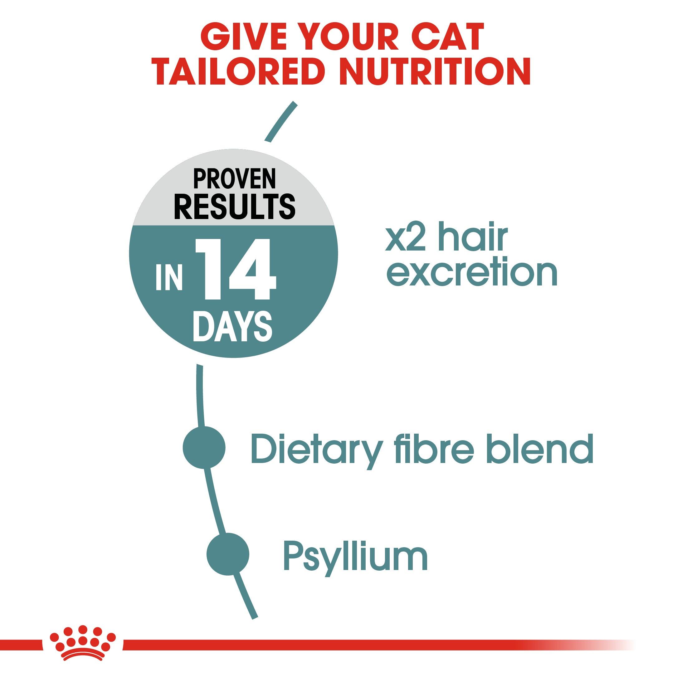 Royal Canin Adult Hairball Care Dry Cat Food
