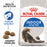 Royal Canin Adult Indoor Long Hair Dry Cat Food
