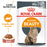 Royal Canin Intense Beauty Care In Gravy Adult Wet Cat Food Pouches - 12 x 85g
