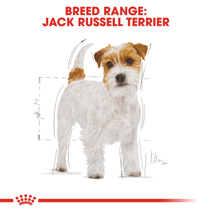 Royal Canin Adult Jack Russell Terrier Dry Dog Food