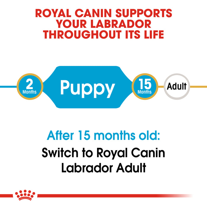 Royal Canin Puppy Labrador Retriever Dry Dog Food