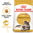 Royal Canin Adult Maine Coon Dry Cat Food
