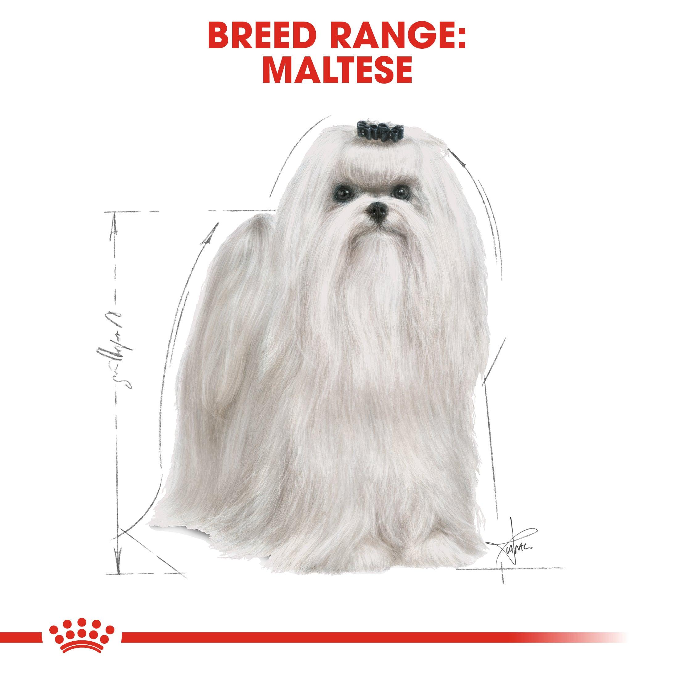Royal Canin Adult Maltese Dry Dog Food 1.5kg