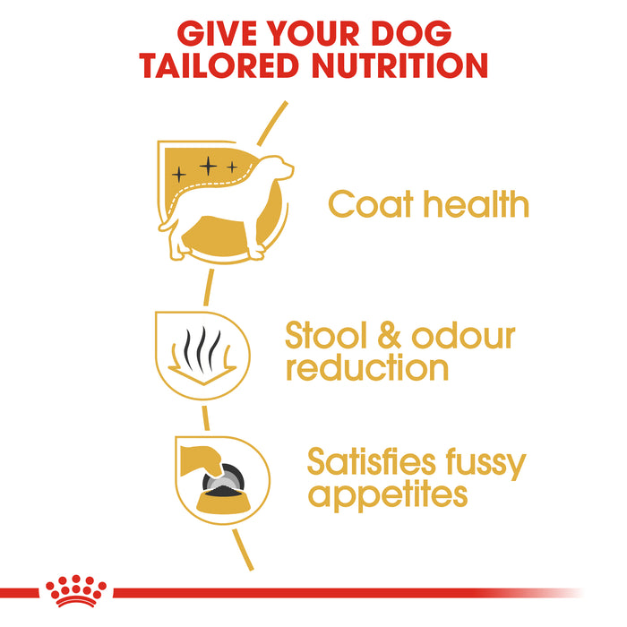 Royal Canin Adult Maltese Dry Dog Food 1.5kg