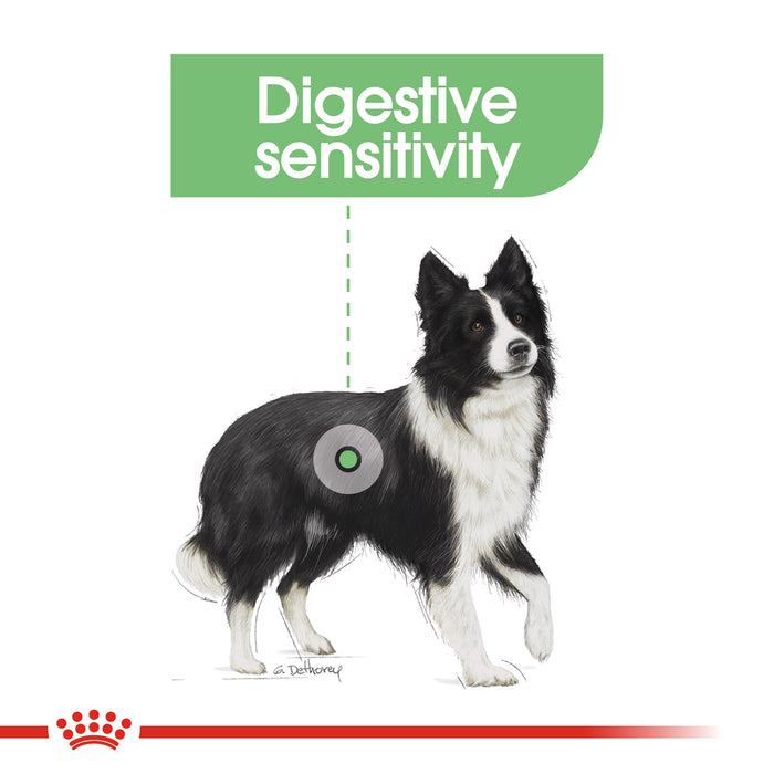Royal Canin Adult Medium Digestive Care Dry Dog Food