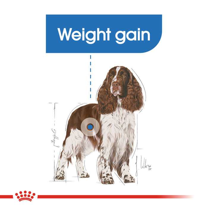 Royal Canin Adult Medium Light Weight Care Dry Dog Food