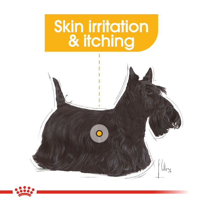 Royal Canin Adult Mini Dermacomfort Dry Dog Food