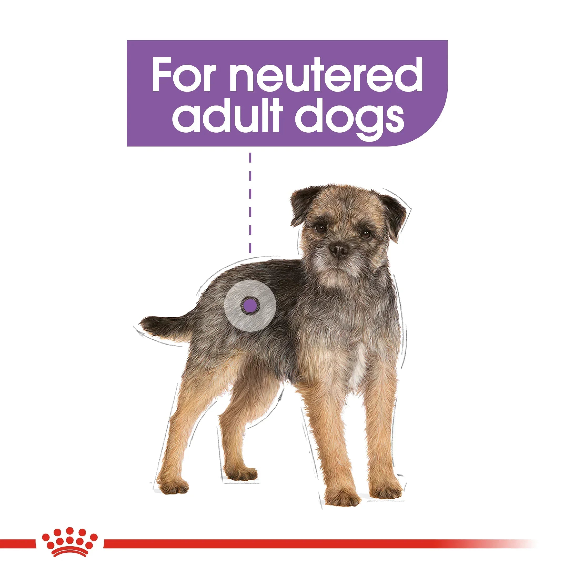 Royal Canin Adult Mini Sterilised Dry Dog Food