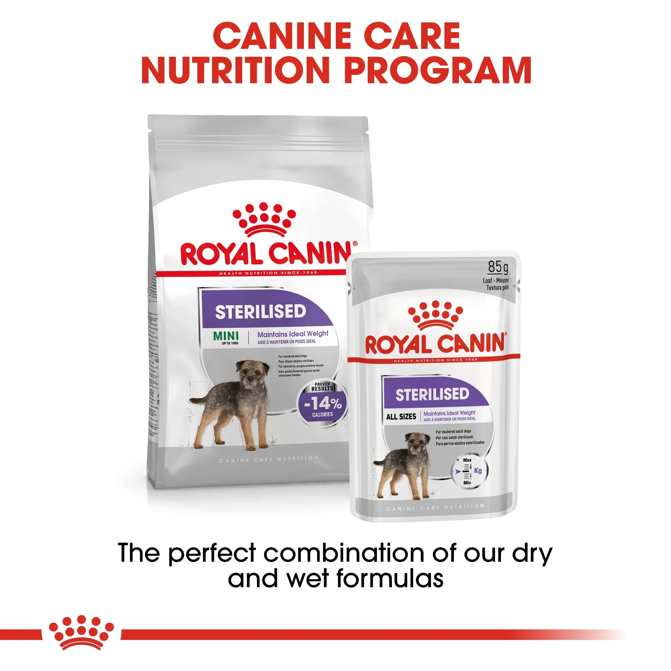 Royal Canin Adult Mini Sterilised Dry Dog Food