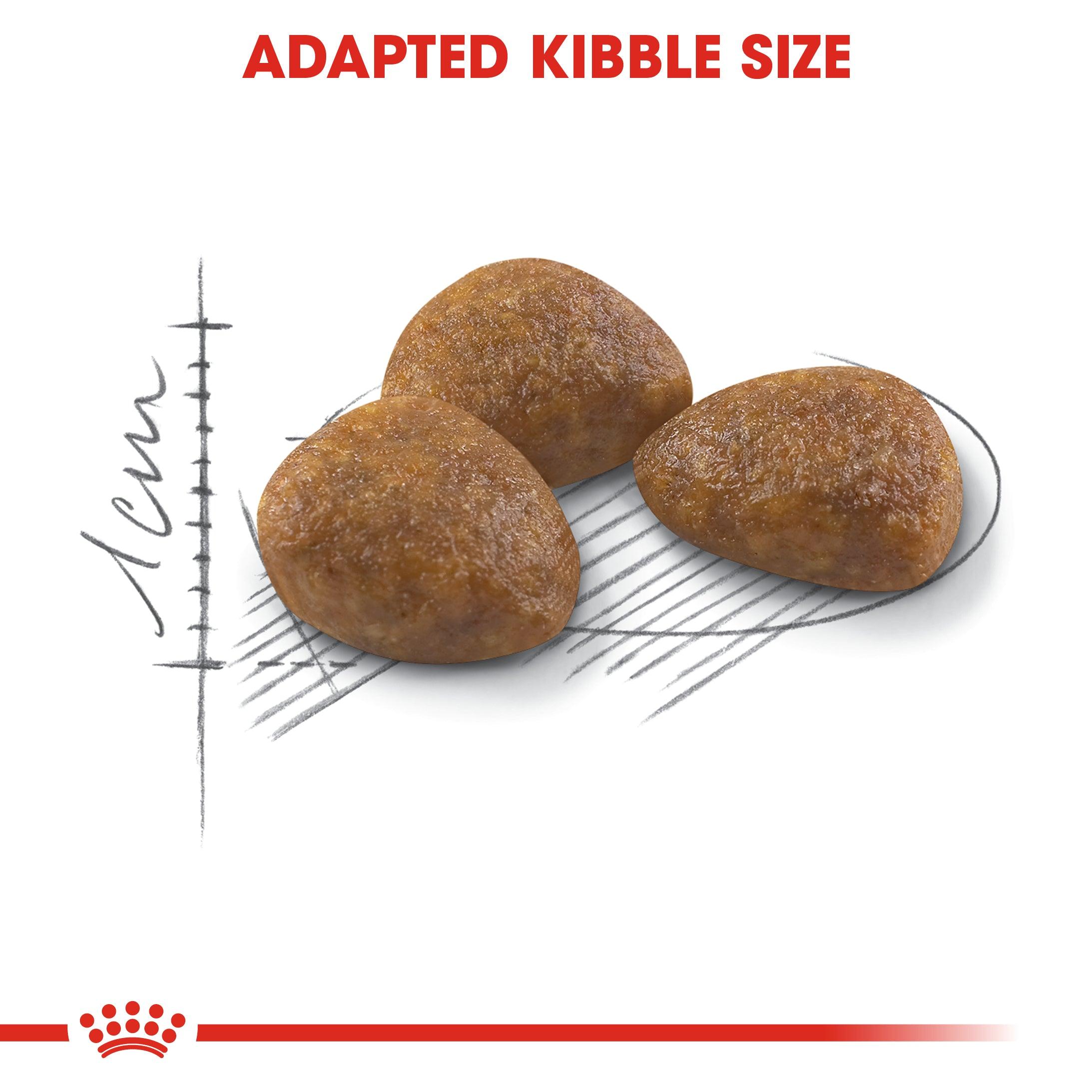 Royal Canin Mature Outdoor 7+ Dry Cat Food