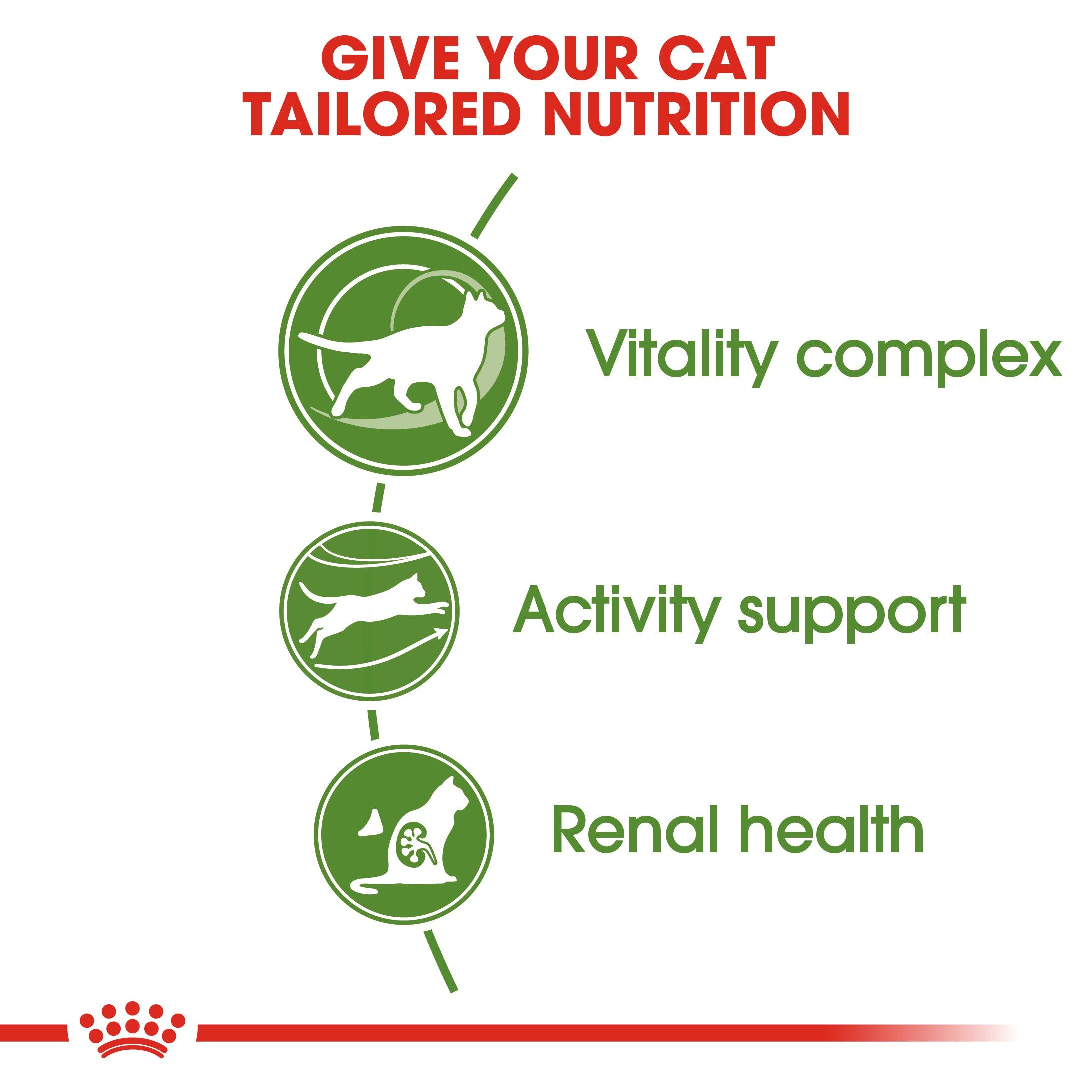 Royal Canin Mature Outdoor 7+ Dry Cat Food