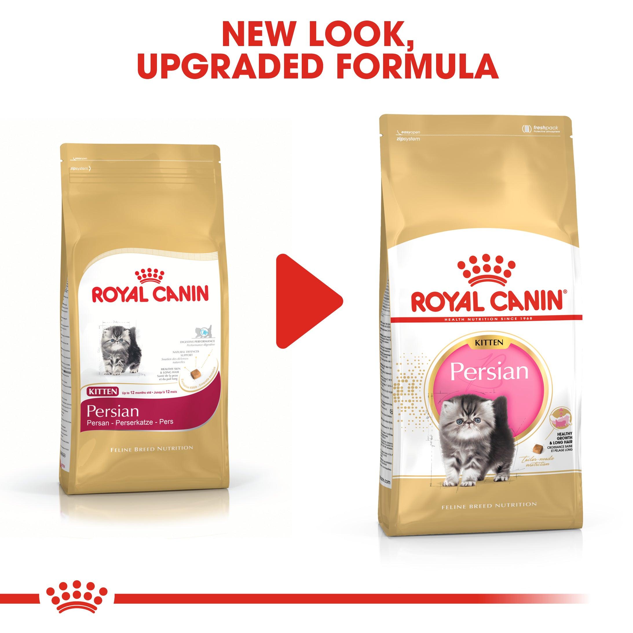 Royal Canin Kitten Persian Dry Cat Food
