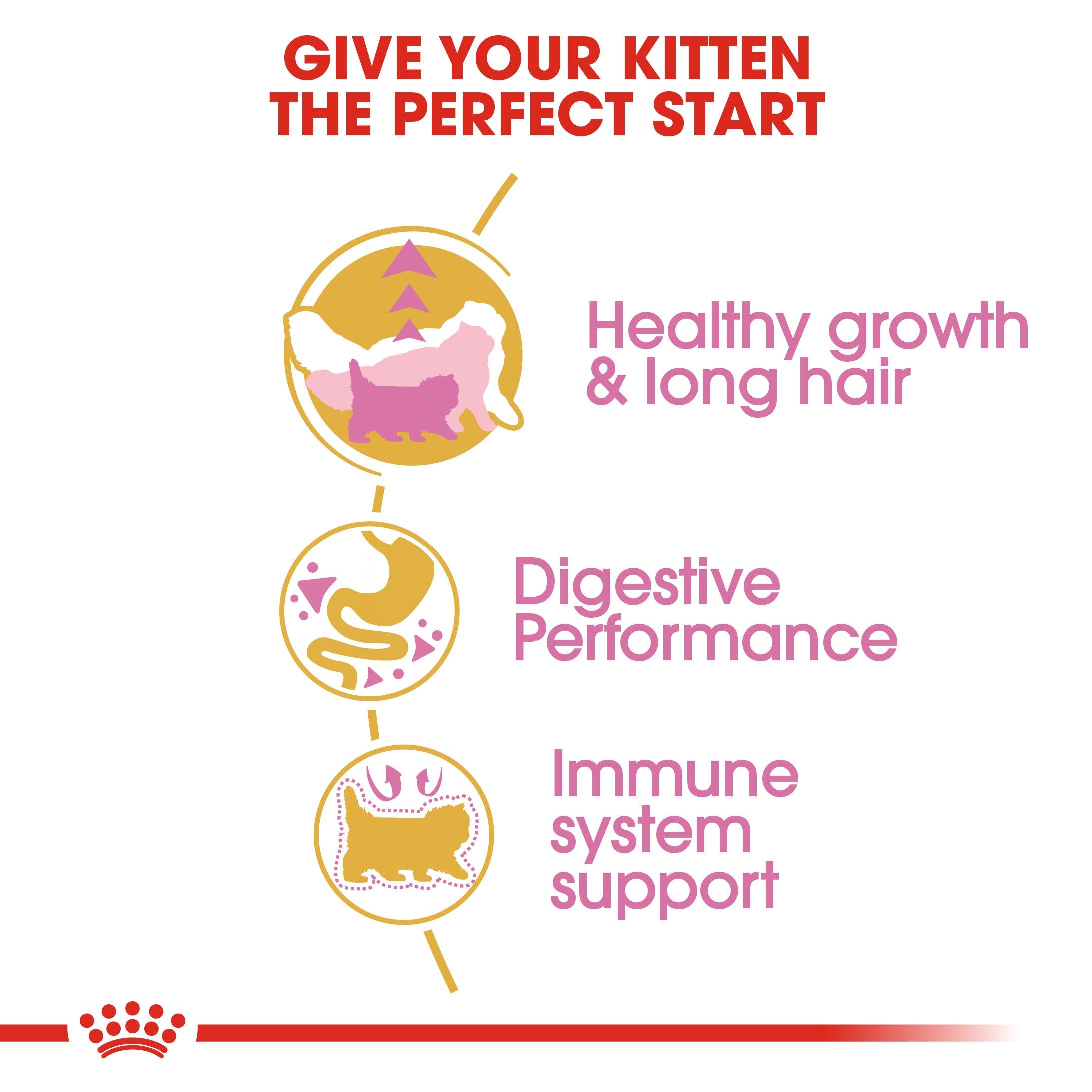 Royal Canin Kitten Persian Dry Cat Food
