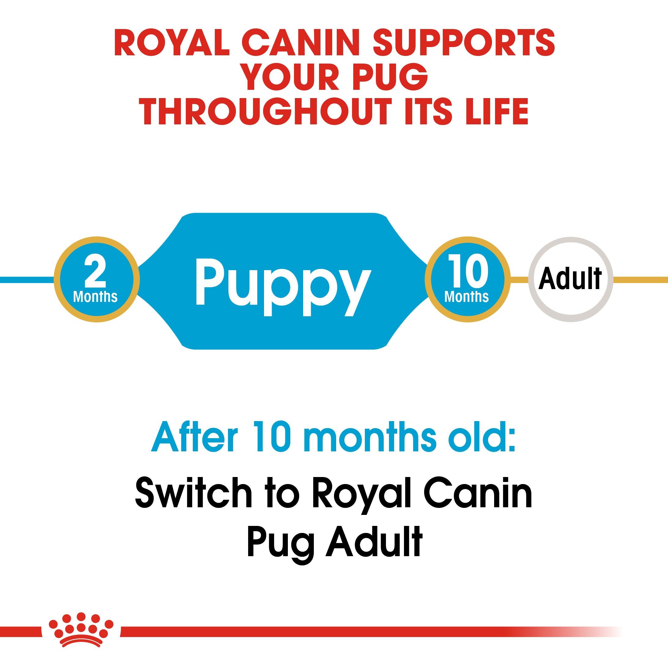 Royal Canin Puppy Pug Dry Dog Food 1.5kg