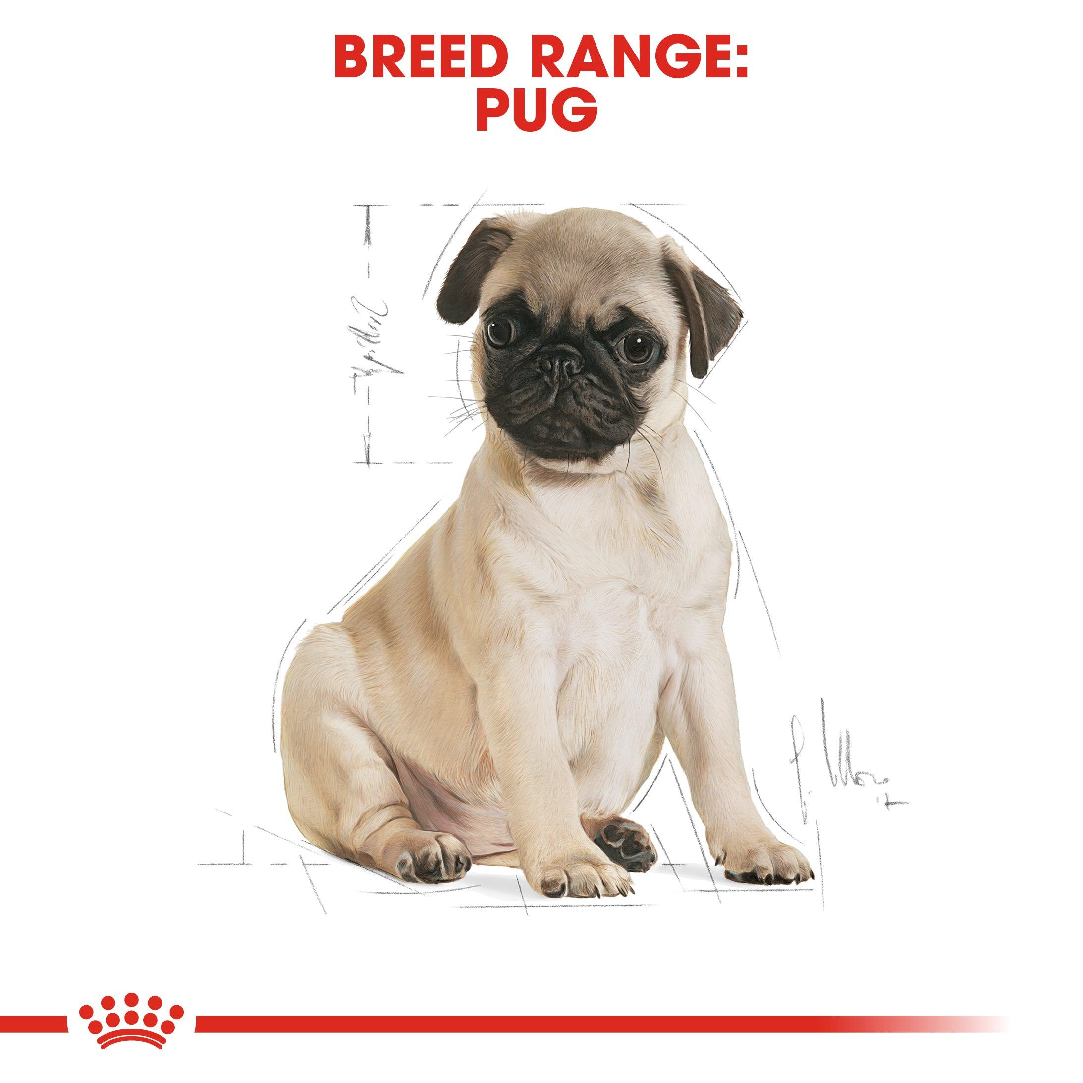 Royal Canin Puppy Pug Dry Dog Food 1.5kg