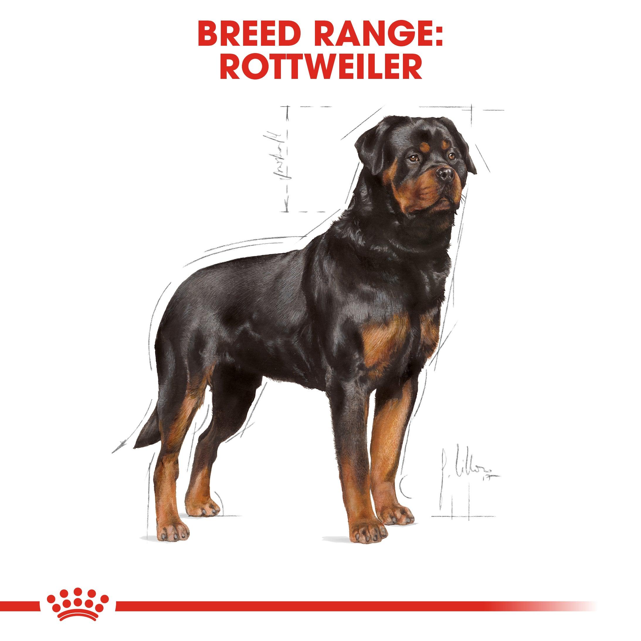 Royal Canin Adult Rottweiler Dry Dog Food 12kg